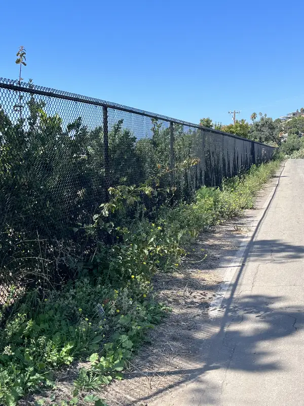 Fence Installation