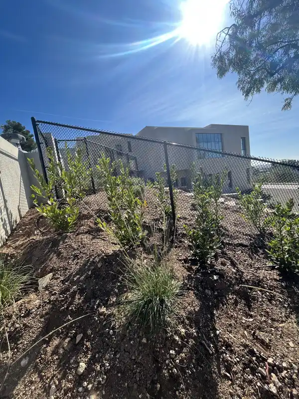 Fence Installation